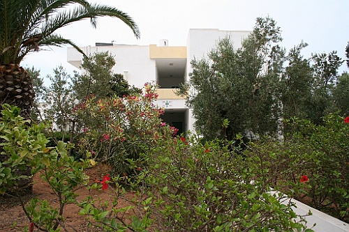 Tunesie2005 (59)
